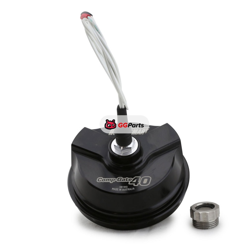 Turbosmart TS-0550-3022 TS Wastegate Accessories