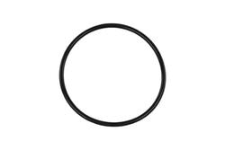 Turbosmart TS-0204-3005