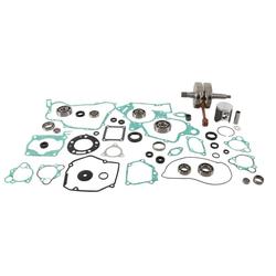Vertex Pistons WR101-131