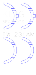 King Engine Bearings TW231AM