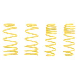 ST Suspensions 66208