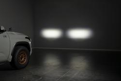 Diode Dynamics DD7394