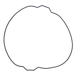 Vertex Pistons 819054