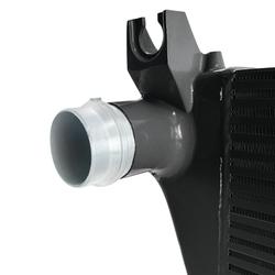 Mishimoto MMINT-RGR-19BK