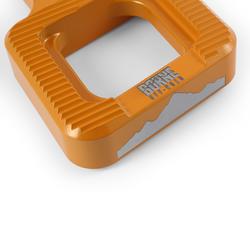 Mishimoto BNTH-F150-17GD