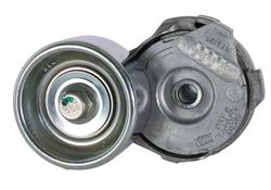 Ford Racing M-8600-M50ALTA