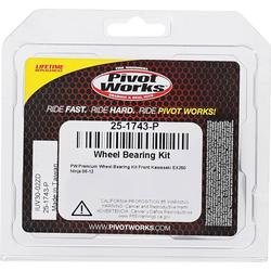 Pivot Works 25-1743-P