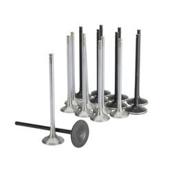 Skunk2 Racing 310-05-2000