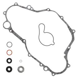 Vertex Pistons 821676