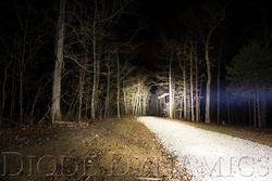 Diode Dynamics DD6033S