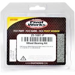 Pivot Works 25-1681-P