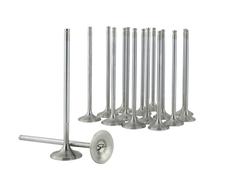 Skunk2 Racing 310-05-1600