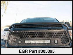 EGR 305395