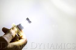 Diode Dynamics DD0173P