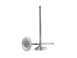 Skunk2 Racing 310-05-9310