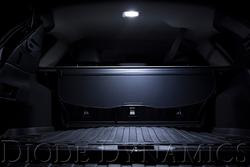 Diode Dynamics DD0143S