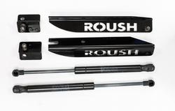 Roush 421236