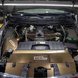 Wehrli WCF100539-SGS