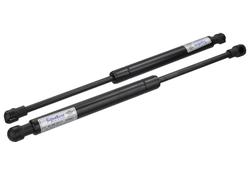 Ford Racing M-16826-GT350