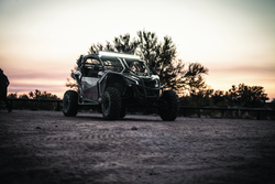 DragonFire Racing 521481