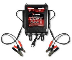 Yuasa Battery YUA2AMPCH