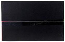 AEM Induction 21-8114DP