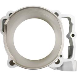 Cylinder Works CW50009K02HC