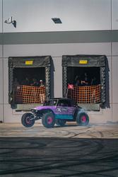 Rigid Industries 36117-SHREDDY