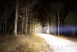 Diode Dynamics DD5020