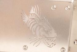 Fishbone Offroad FB33210R