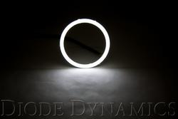 Diode Dynamics DD2160