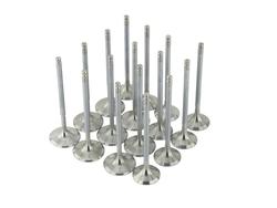 Skunk2 Racing 310-05-1310