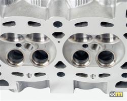 mountune 6064-LB-160S2