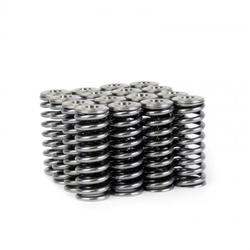 Skunk2 Racing 344-05-1350