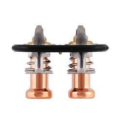 Mishimoto MMTS-F2D-11L