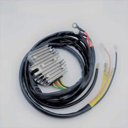 Ricks Motorsport Electrics 10-012