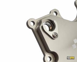 mountune 2363-OBP-AA