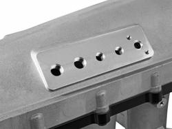 Skunk2 Racing 307-05-9050