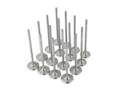 Skunk2 Racing 310-05-1600