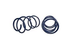 Ford Racing M-5300-RA