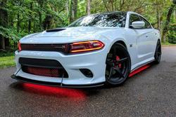 Diode Dynamics DD0442