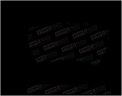 Stoptech 308.13071