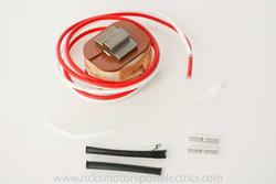 Ricks Motorsport Electrics 21-500