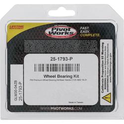 Pivot Works 25-1793-P