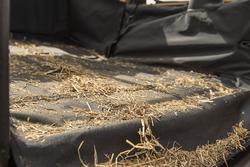 Rugged Ridge 13260.01