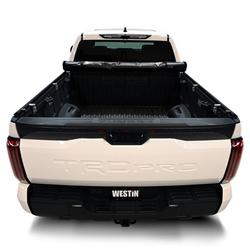 Westin 19-10285