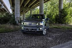 Diode Dynamics DD0462P