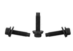 Ford Racing M-503317K-BOLT