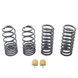 ST Suspensions 60090