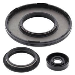 Vertex Pistons 55229